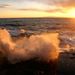 20080101_enoshima_0121